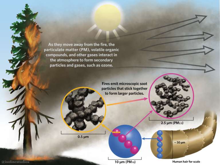 Composition of wildfire smoke and particulate matter