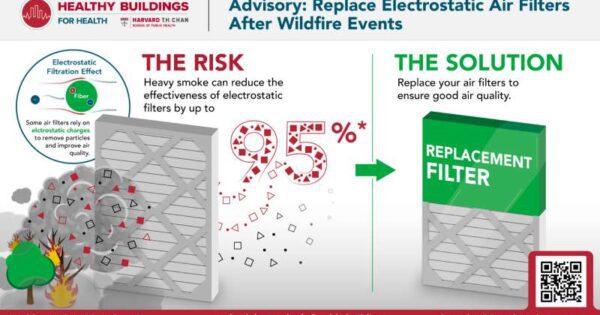 Heavy smoke can reduce the effectiveness of electrostatic filters by up to 95%. The solution: replace your air filters to ensure good air quality.