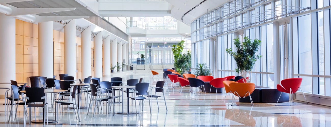 A bright and airy common area in a healthy office building.