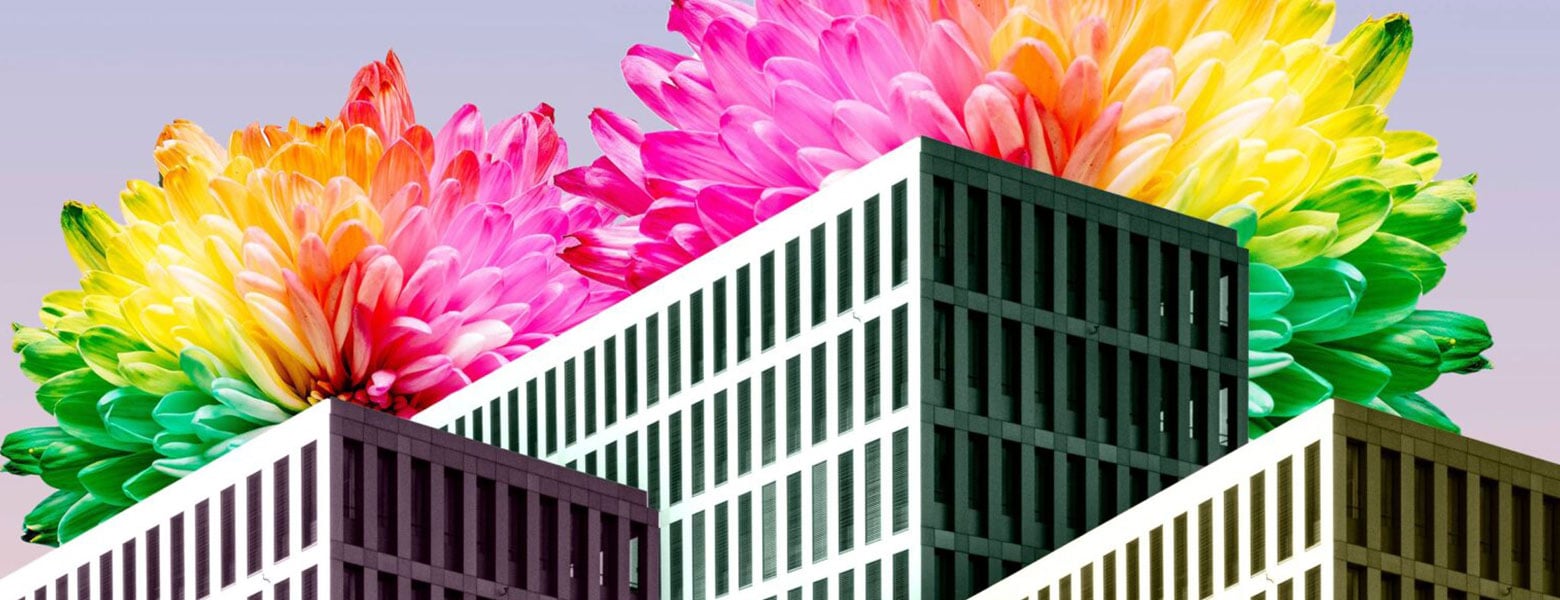 A row of buildings with a burst of colorful flowers behind them